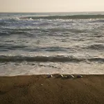 Kaiafas 3*