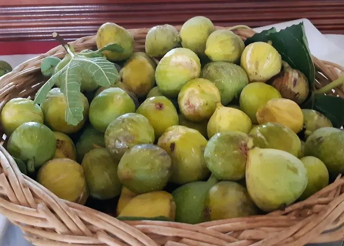 Ξενοδοχείο με διαμερίσματα Kaiafas Ζαχάρω